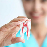 Endodonzia